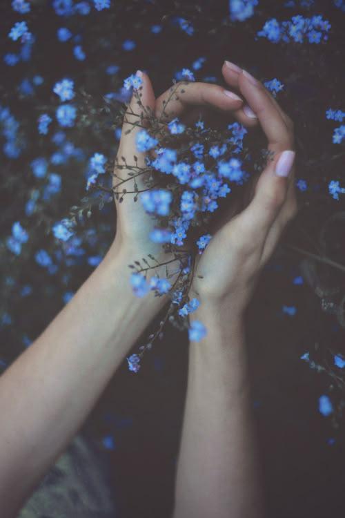 Whimsical Forest Enchantment Cluster
